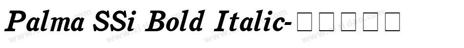 Palma SSi Bold Italic字体转换